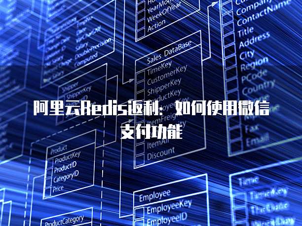 阿里云Redis返利:如何使用微信支付功能