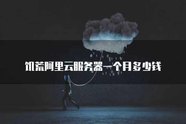 饥荒阿里云服务器一个月多少钱