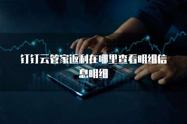 钉钉云管家返利在哪里查看明细信息明细