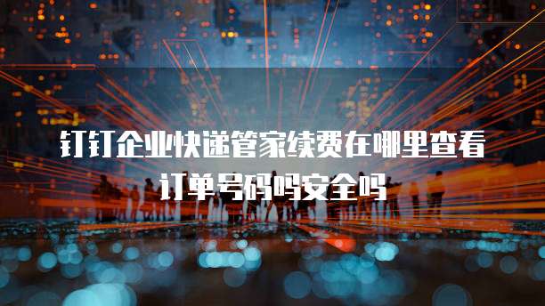 钉钉企业快递管家续费在哪里查看订单号码吗安全吗
