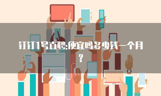钉钉1号直聘:便宜吗多少钱一个月?