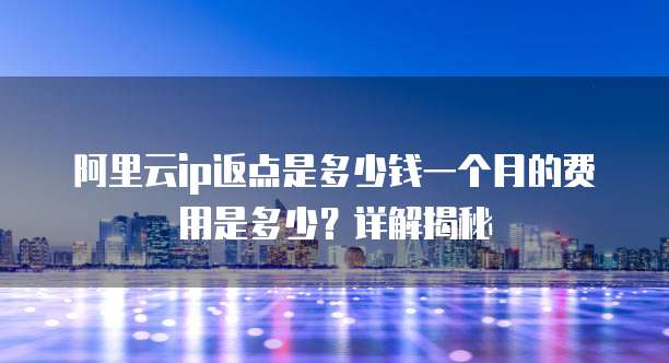 阿里云ip返点是多少钱一个月的费用是多少?详解揭秘