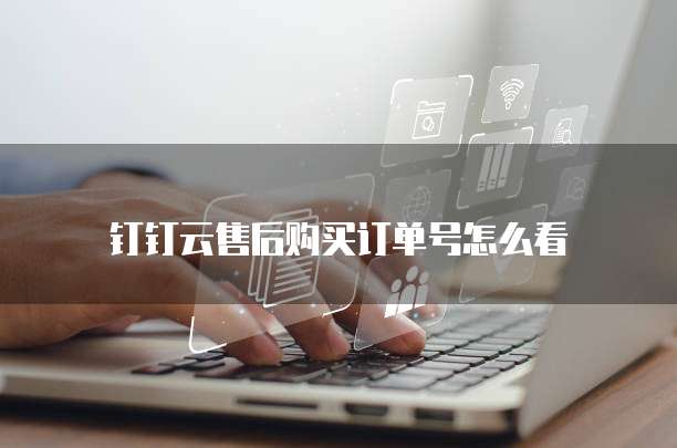钉钉云售后购买订单号怎么看