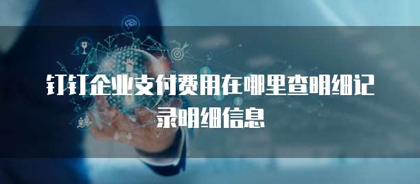钉钉企业支付费用在哪里查明细记录明细信息
