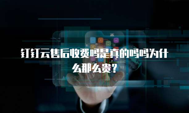 钉钉云售后收费吗是真的吗吗为什么那么贵?
