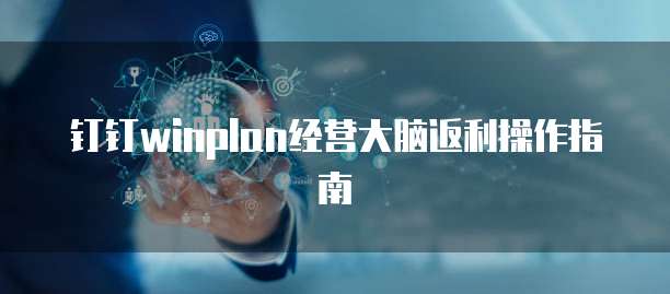 钉钉winplan经营大脑返利操作指南