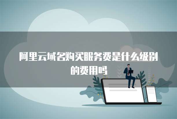 阿里云域名购买服务费是什么级别的费用吗