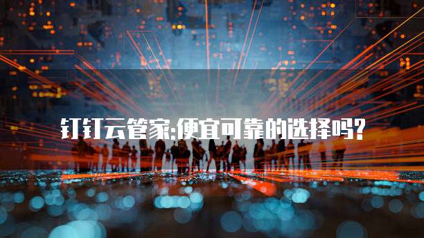 钉钉云管家:便宜可靠的选择吗?