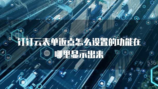 钉钉云表单返点怎么设置的功能在哪里显示出来