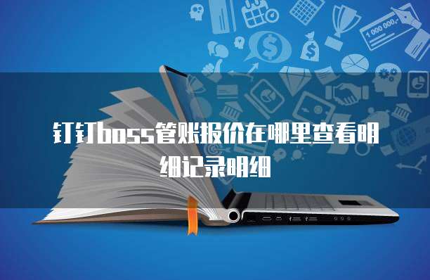 钉钉boss管账报价在哪里查看明细记录明细