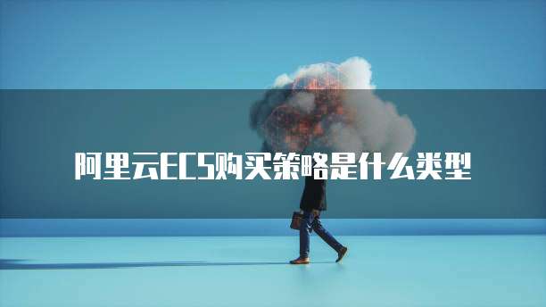 阿里云ECS购买策略是什么类型