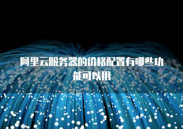 阿里云服务器的价格配置有哪些功能可以用