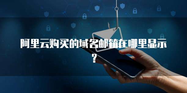 阿里云购买的域名邮箱在哪里显示？