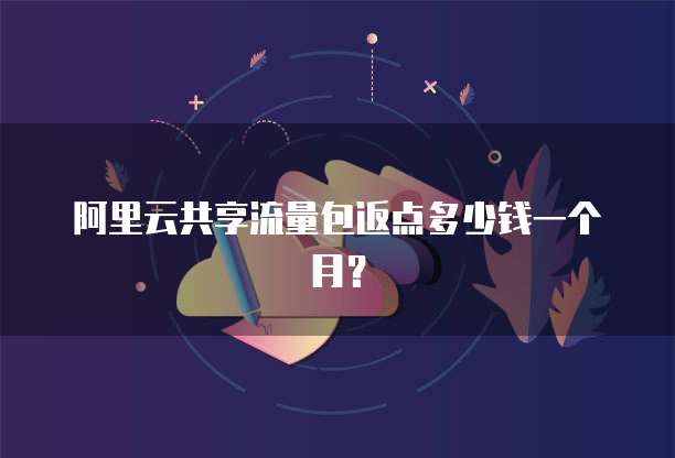 阿里云共享流量包返点多少钱一个月?