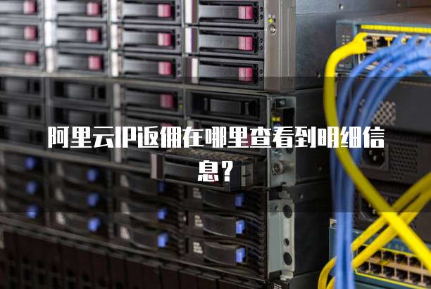 阿里云IP返佣在哪里查看到明细信息?