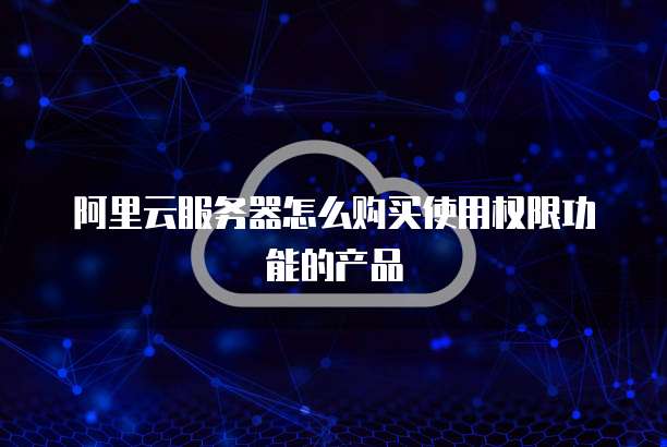 阿里云服务器怎么购买使用权限功能的产品