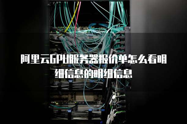 阿里云GPU服务器报价单怎么看明细信息的明细信息