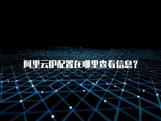 阿里云IP配置在哪里查看信息?