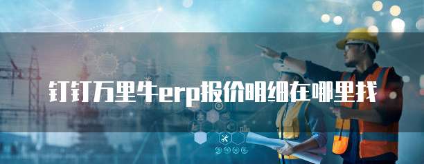 钉钉万里牛erp报价明细在哪里找