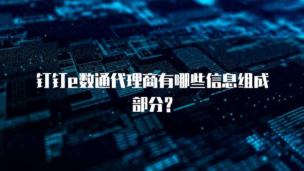 钉钉e数通代理商有哪些信息组成部分?
