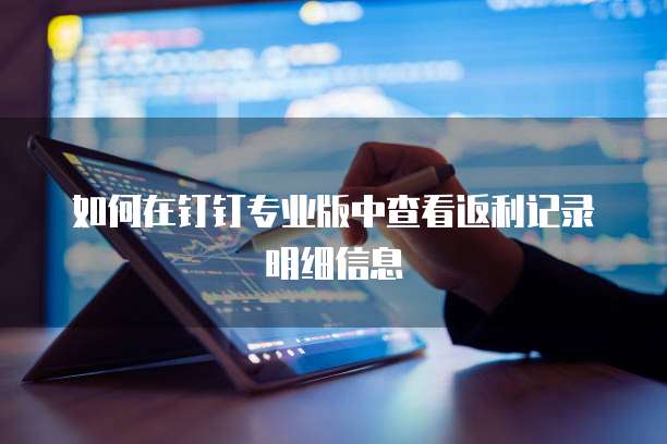 如何在钉钉专业版中查看返利记录明细信息