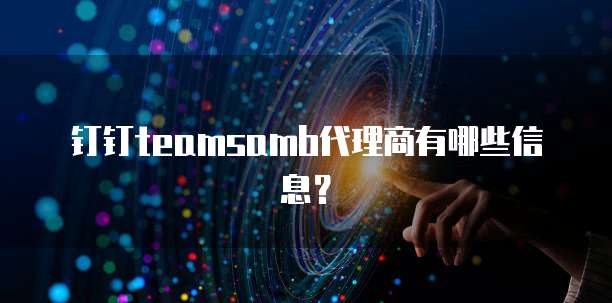 钉钉teamsamb代理商有哪些信息？