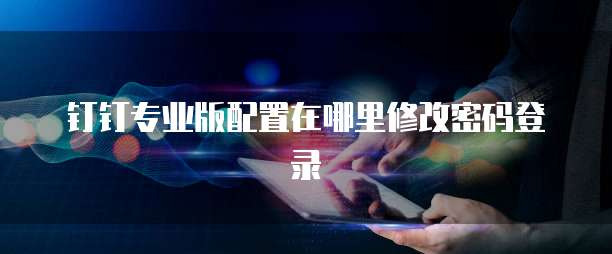钉钉专业版配置在哪里修改密码登录