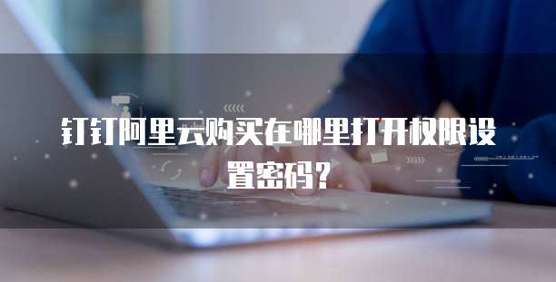 钉钉阿里云购买在哪里打开权限设置密码?