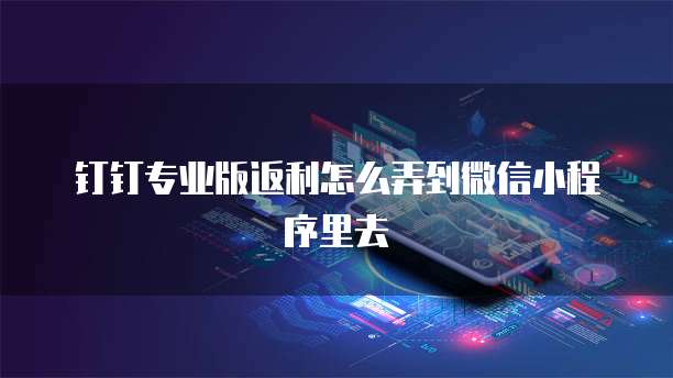 钉钉专业版返利怎么弄到微信小程序里去