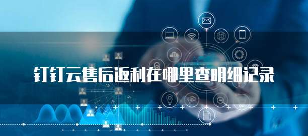 钉钉云售后返利在哪里查明细记录