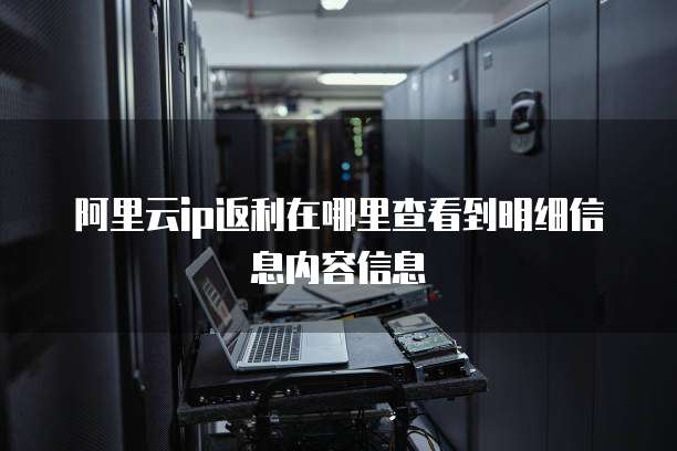 阿里云ip返利在哪里查看到明细信息内容信息