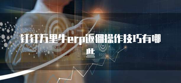 钉钉万里牛erp返佣操作技巧有哪些