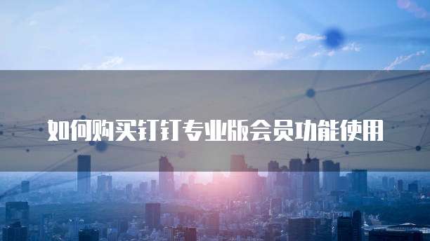 如何购买钉钉专业版会员功能使用
