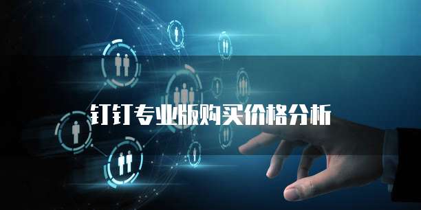 钉钉专业版购买价格分析