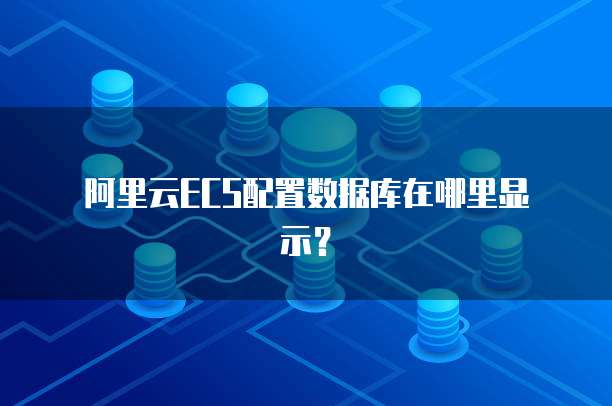阿里云ECS配置数据库在哪里显示?