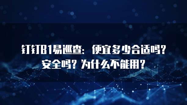 钉钉B1易巡查:便宜多少合适吗?安全吗?为什么不能用?