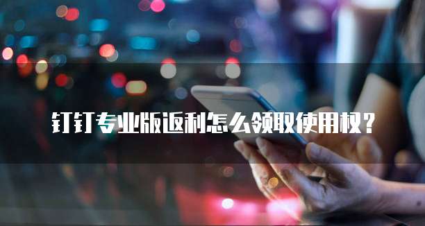 钉钉专业版返利怎么领取使用权?
