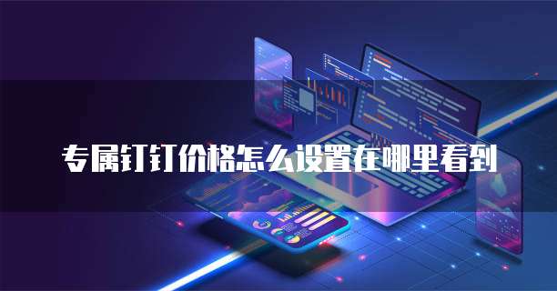 专属钉钉价格怎么设置在哪里看到