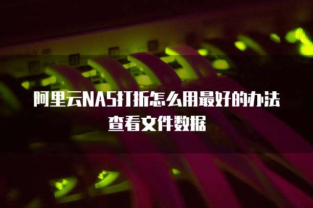 阿里云NAS打折怎么用最好的办法查看文件数据