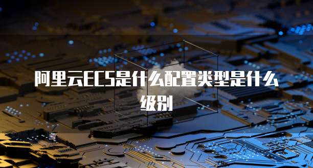 阿里云ECS是什么配置类型是什么级别