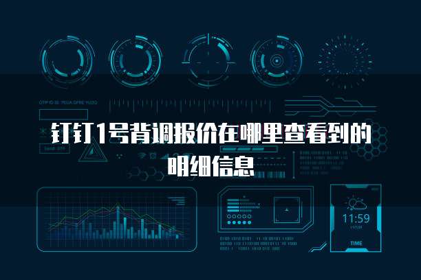 钉钉1号背调报价在哪里查看到的明细信息
