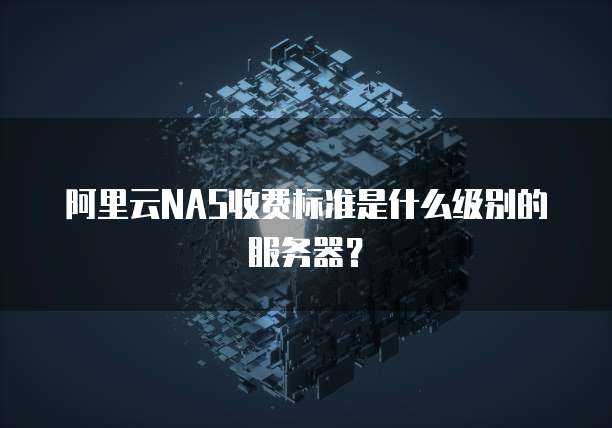 阿里云NAS收费标准是什么级别的服务器?