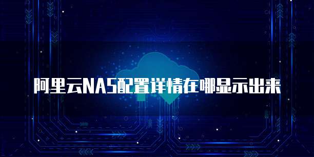 阿里云NAS配置详情在哪显示出来