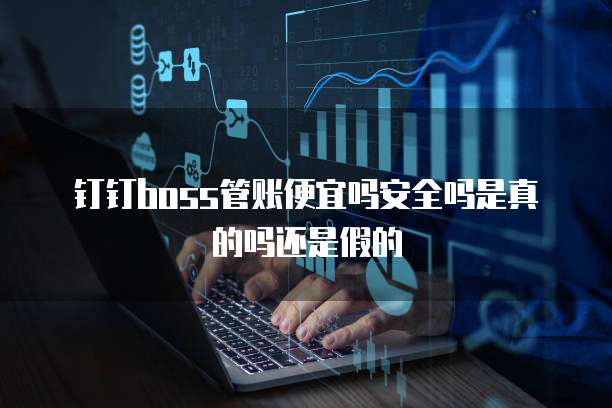 钉钉boss管账便宜吗安全吗是真的吗还是假的