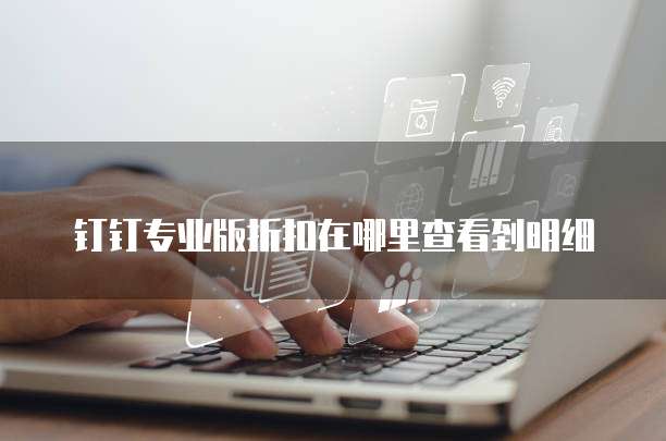 钉钉专业版折扣在哪里查看到明细