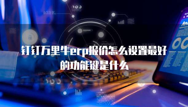 钉钉万里牛erp报价怎么设置最好的功能键是什么