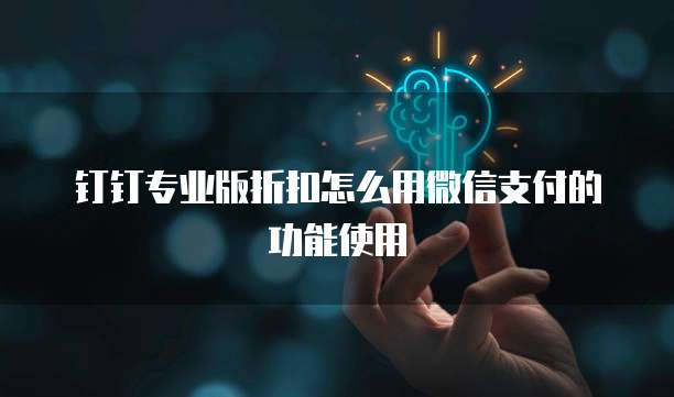钉钉专业版折扣怎么用微信支付的功能使用