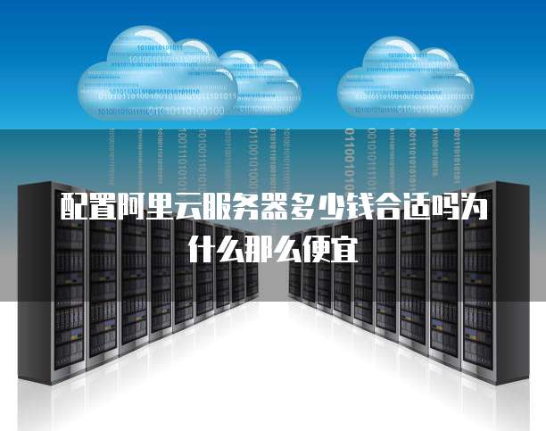 配置阿里云服务器多少钱合适吗为什么那么便宜