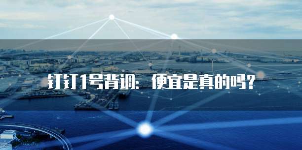 钉钉1号背调:便宜是真的吗?