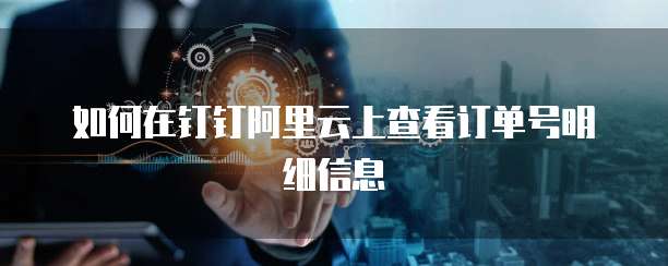 如何在钉钉阿里云上查看订单号明细信息